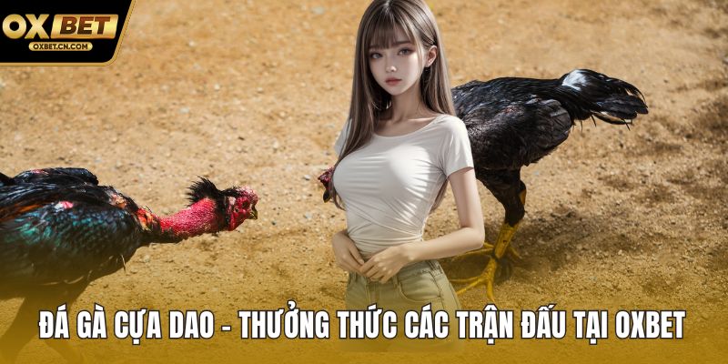 Đá gà cựa dao