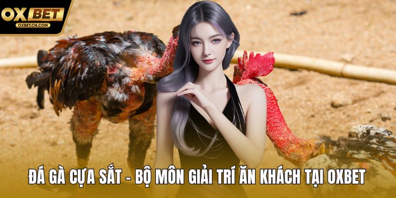 Đá gà cựa sắt