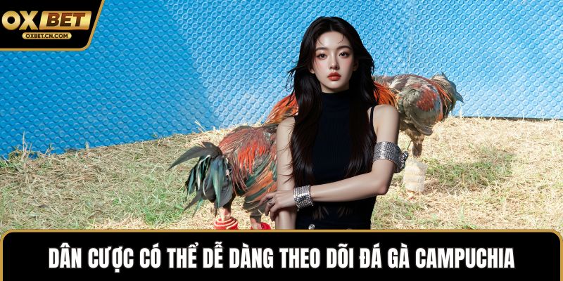 Dân cược có thể dễ dàng theo dõi đá gà Campuchia