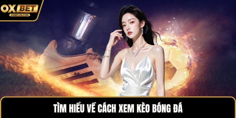 Tìm hiểu về cách xem kèo bóng đá